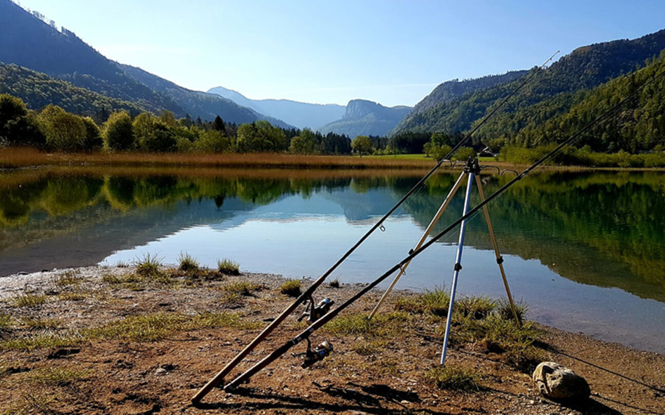 2_IMG-20200507-WA0002