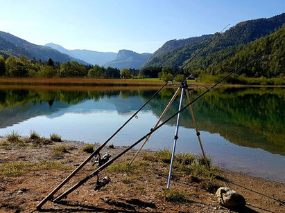 _0005_csm_2_IMG-20200507-WA0002_5050c80750